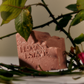 Night Blooming Jasmine & Damask Rose Soap Brick