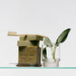 Roman Parsley & Fresh Rosemary Soap Brick