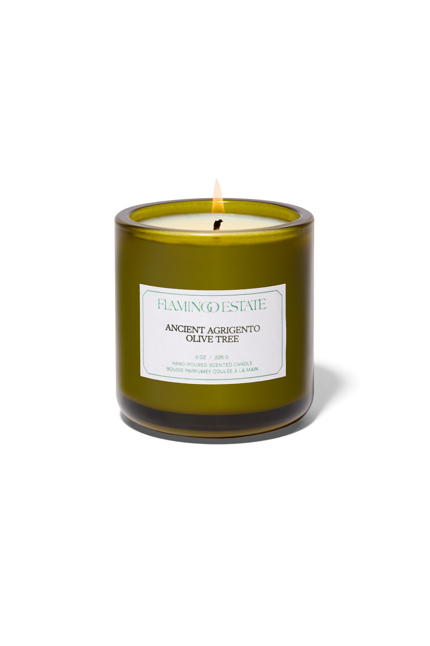 Ancient Agrigento Olive Tree Candle